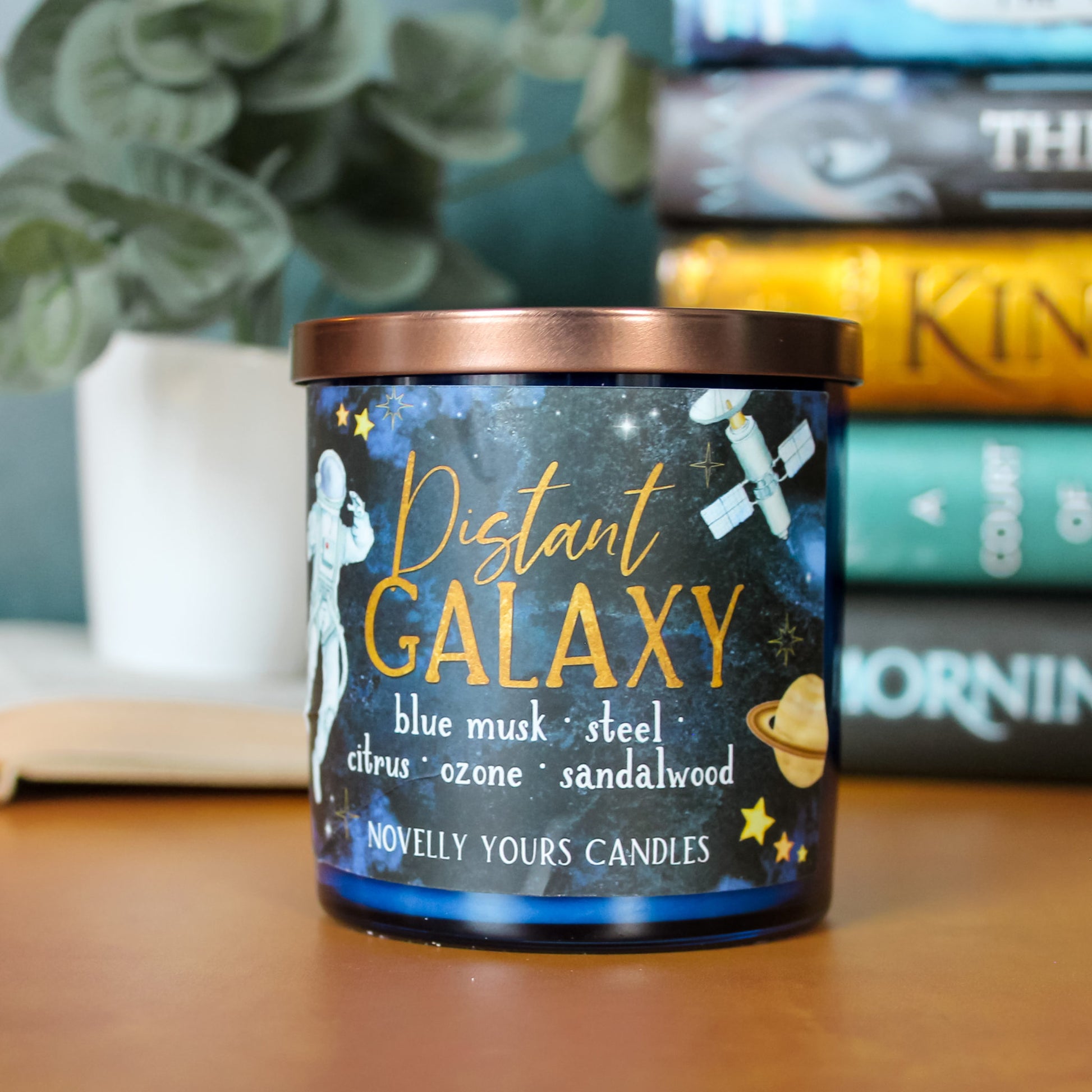 Distant Galaxy
